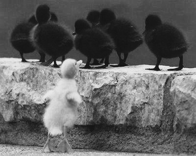 Chaque chose � sa place